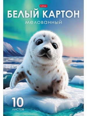 Набор Картон Белый мелованный 10л А4 200х280мм Снежный малыш в папке 10Кб4_36015