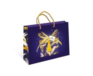 0557.145 Бумажный пакет делюкс Подарок