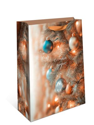 1595.125 Бумажный пакет премиум Пора чудес