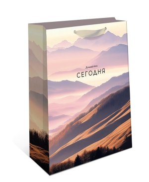 1595.202 Бумажный пакет премиум Лучший день сегодня