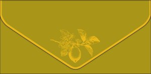 1216.599 Конверт Без надписи Лимон