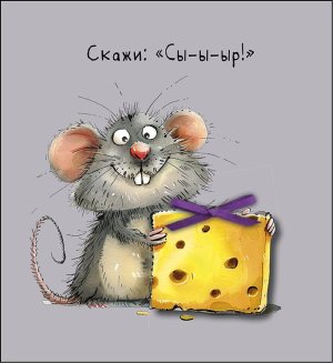 0713.542 Открытка Скажи Сы-ы-ыр 