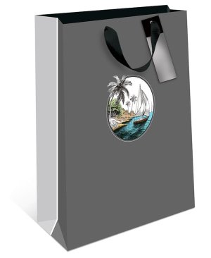 0598.951Бумажный пакет премиум Путишествие