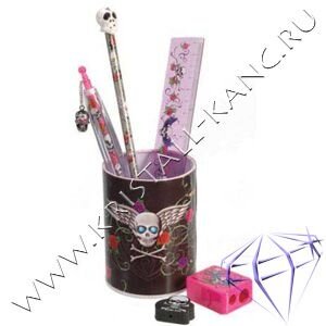 Органайзер Skull&Roses с наполнением детский