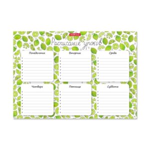 Расписание уроков А4 Яркие дольки 53170