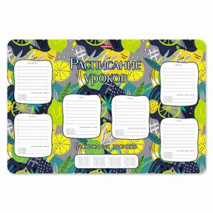 Расписание уроков А3 Lime пласт 55998