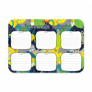 Расписание уроков А4 Lime пласт 55997
