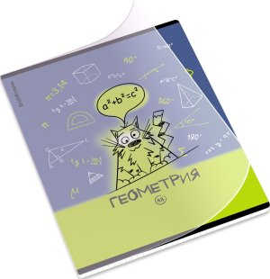 Тетрадь предм 48л Клетка с пластик обл Котоформулы Геометрия 62531