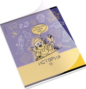 Тетрадь предм 48л Клетка с пластик обл Котоформулы История 62533