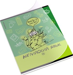 Тетрадь предм 48л Клетка с пластик обл Котоформулы Английский язык 62535