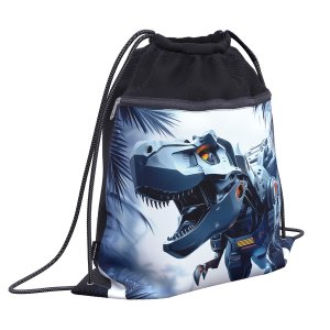 Мешок для обуви Techno Dino с карманом на молнии 500x410мм 64947