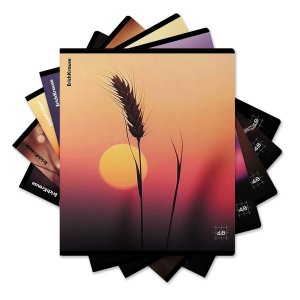 Тетрадь  48л Клетка Macro Nature MIX-PACK 64861