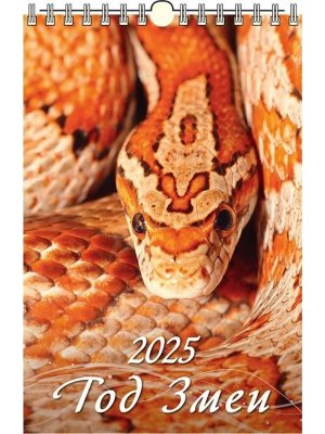Кал 2025 Настен Перекид Год змеи Вид 1 320*480 с ригелем