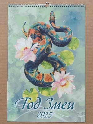 Кал 2025 Настен Перекид Год змеи Вид 2 320*480 с ригелем