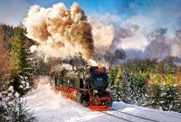 Паззл 1000 Castor Паровоз C-103409
