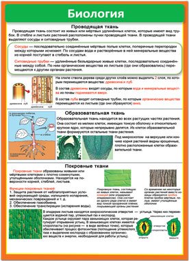 Шпаргалка Биология
