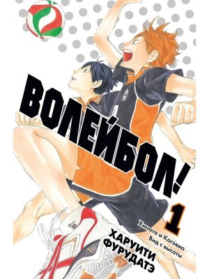 Волейбол Кн 1 Хината и Кагэяма Вид с высоты Манга