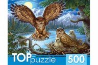 Паззл  500 Ночные совы ХТП500-4218 