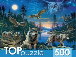 Паззл  500 Ночные совы и волки Ф500-3866