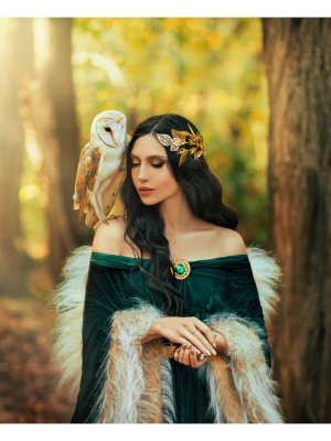 Холст с красками 17х22 по номерам Девушка с совой Х-3858