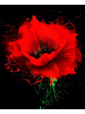 Холст с красками 30х40 см Алый мак по номерам Х-7103