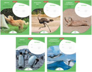 Тетрадь  24л Клетка  ГТО 42602