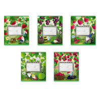 Тетрадь  12л Клетка Гномики 48822