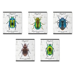 Тетрадь 48л Клетка Жуки 048019954-60612