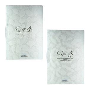 Папка файл с пластик клипом Листочки перышки А4 2вида 14-040