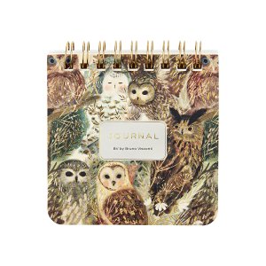 Блокнот  60л 90х90мм POCKET JOURNAL Волшебные совы 3-649/06