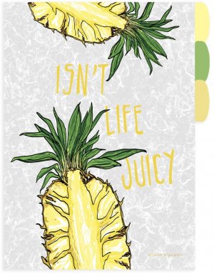 Папка уголок А4 3 отд  Фрукты 14-035/05