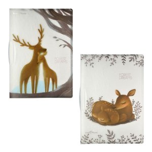 Папка с пластик клипом А4 FOREST DREAM 2 вида 14-040/04