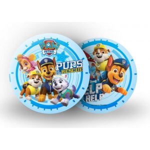 Мяч Щенячий патруль полноцвет с накл 23 см в сетке FD-9(PAW)-3