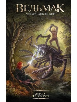 Ведьмак Кн 9 Дорога без возврата Нов