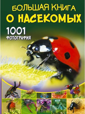 Бол книга о насекомых 1001 фотография