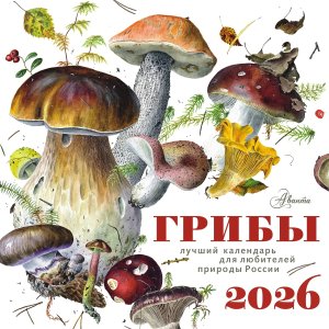 Кал 2026 Настен Грибы 