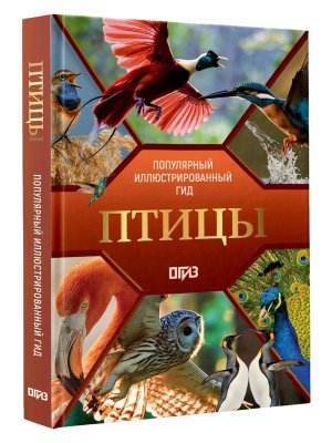 Птицы Попул илл гид