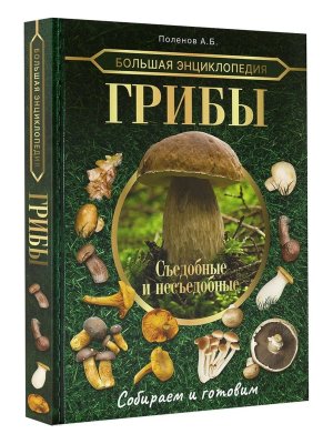 Бол энц Грибы Съедобные и несъедобные Собираем и готовим
