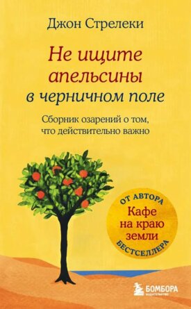 Не ищите апельсины в черничном поле Сборник озарений о том что действительно важно #1