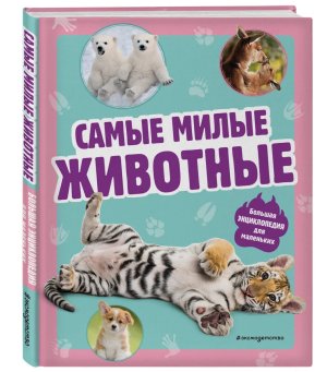 Самые милые животные Бол энц для маленьких