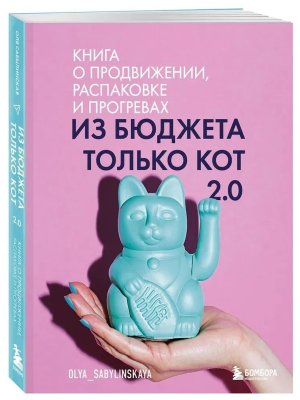 Из бюджета только кот 2.0 Мягк