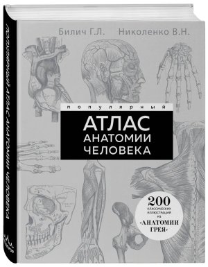 Популярный атлас анатомии человека 200 классических иллюстраций из Анатомии Грея
