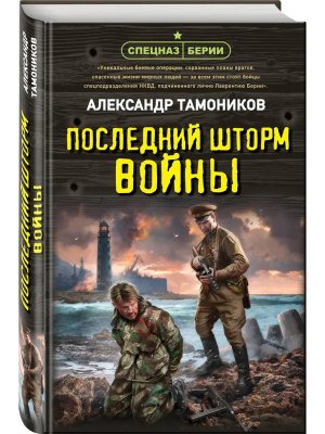 Последний шторм войны