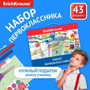 Набор для первоклассника 43 предм 45413