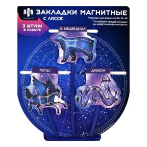 Набор закладок-ляссе магнитных для книг 62928