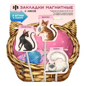 Набор закладок-ляссе магнитных для книг 62926