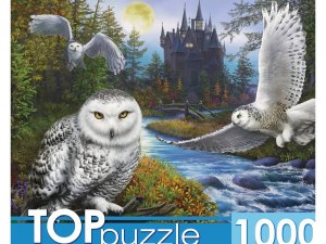 Паззл 1000 Магическая сова и замок Ф1000-9941