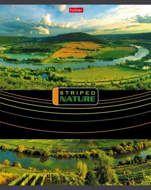 Тетрадь  96л Линия Полосатый мир 14373