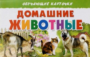 Карточки Домашние животные