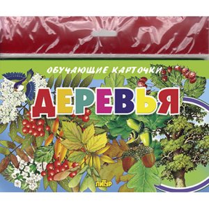 Карточки Деревья